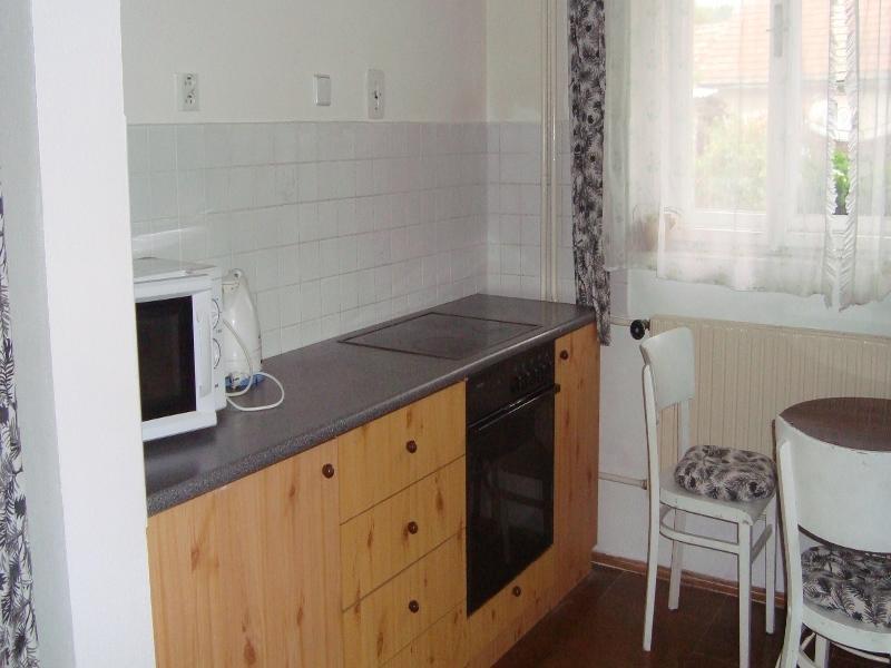 Privat Mirovice-Breznice Экстерьер фото